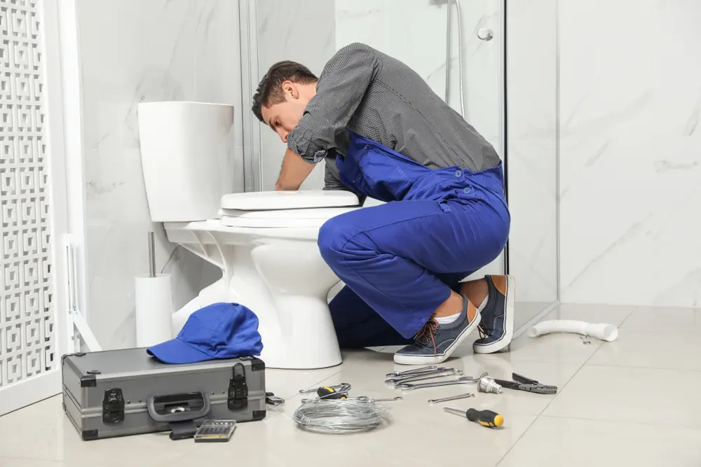 Toilet Repair in Lasana